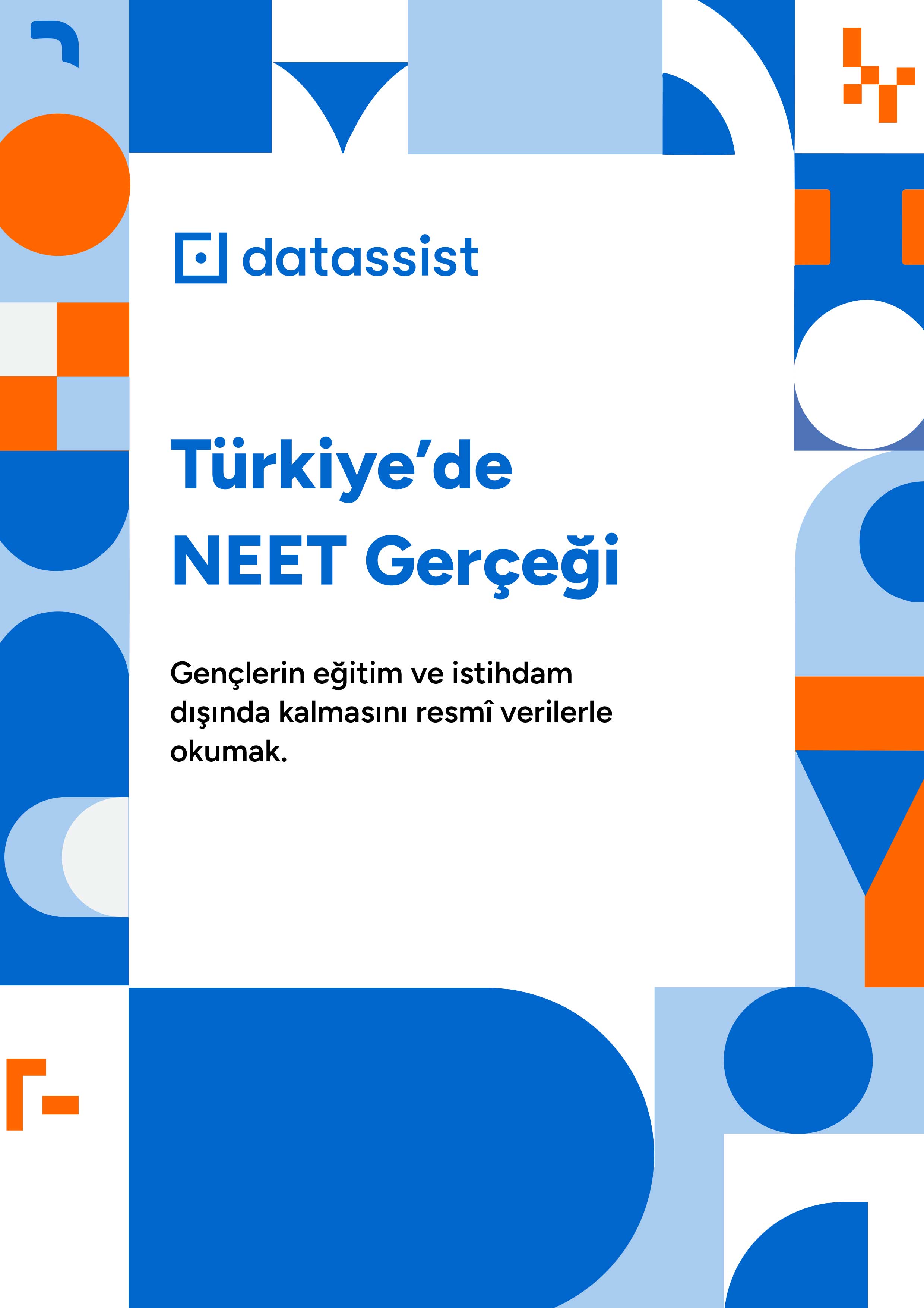 Türkiye'de NEET Gerçeği